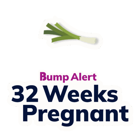 Pregnancy Expecting Sticker by The Bump
