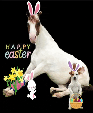 Easter Bunny Holiday GIF by Primapolo Productions