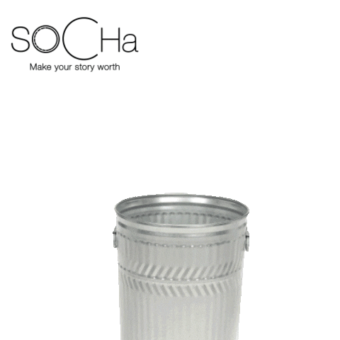 soCha Sticker