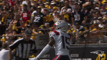 Nelson Agholor Football GIF by New England Patriots