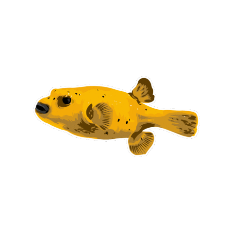 World Wide Corals Sticker