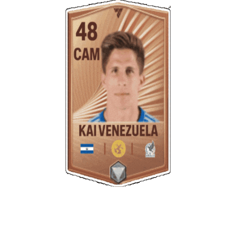 Venezuela Kai Sticker