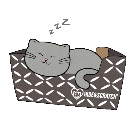 Cat If I Fits I Sits Sticker by Hide & Scratch