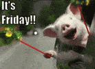 Its Friday GIF