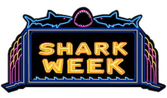 Summer Sharks Sticker by Discovery