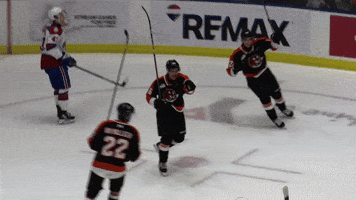 Hockey Point GIF by Medicine Hat Tigers