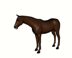 horse neck GIF