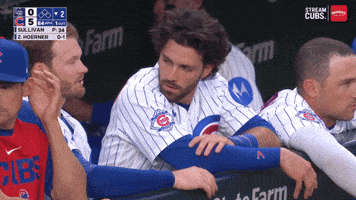 Chicago Cubs Nod GIF