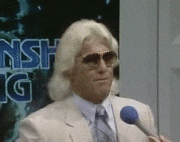 excited ric flair GIF