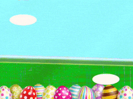 Sorpresa Nuovo GIF
