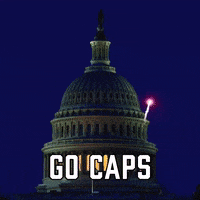 Washington Capitals Sport GIF by Sealed With A GIF