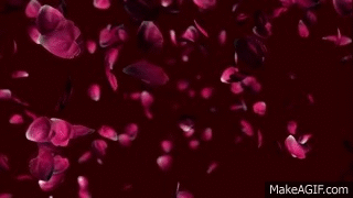 petals GIF
