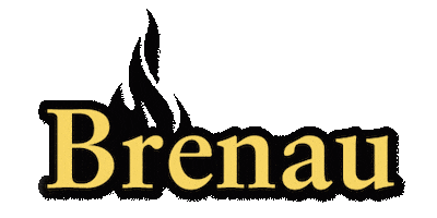 Georgia Flame Sticker by Brenau
