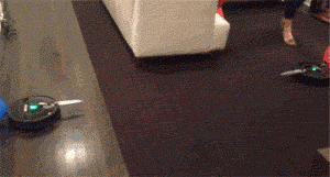 ankles