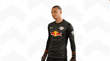 Not In My House Goalkeeper GIF by RB Leipzig
