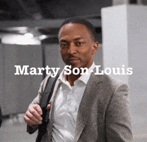 Martin St Louis GIF