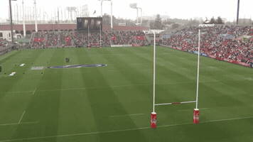 bencoles-247b  GIF