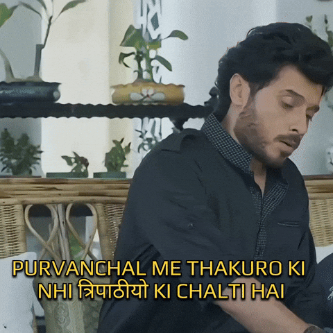 Brahmin GIF