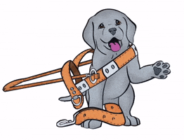 Guide Dogs of the Desert GIF