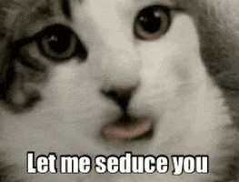 200.gif