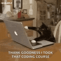 Code Refactoring Cat GIFs - Find & Share on GIPHY