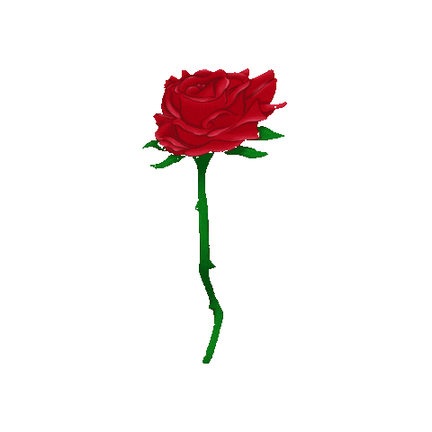 Valentines Day Rose Sticker by Strudelbee