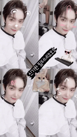 Lee Joon Gi Cat GIF