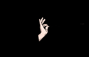 GIF by Beachy Pups