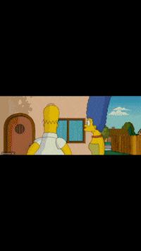 Homer - monkey