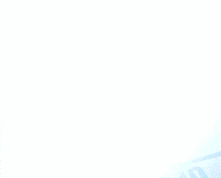 Fight GIF
