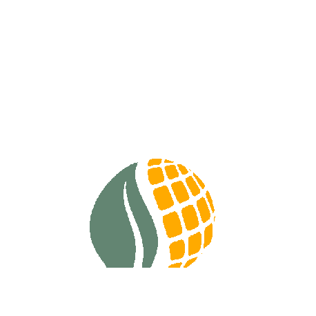 Solar It Brasil Sticker