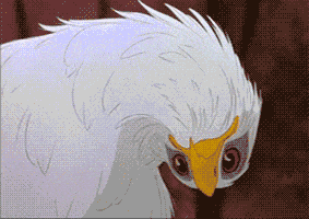 Confused Bald Eagle GIF