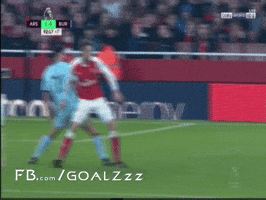 naderibrahim  GIF