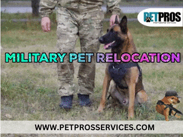 Pet Pros Services GIF