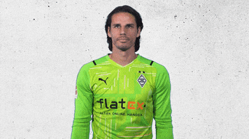 Yann Sommer Bundesliga GIF by Borussia Mönchengladbach
