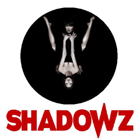 Horror Cinema Sticker by Shadowz VOD