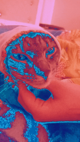 Ryo GIF