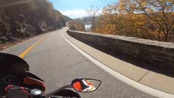 Motorcycle GIF by Gotham Ducati Desmo Owners Club
