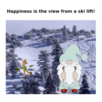 Skiing GIF