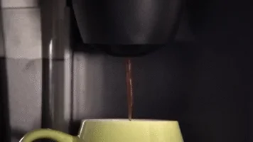 dgtyy4475rdfg464