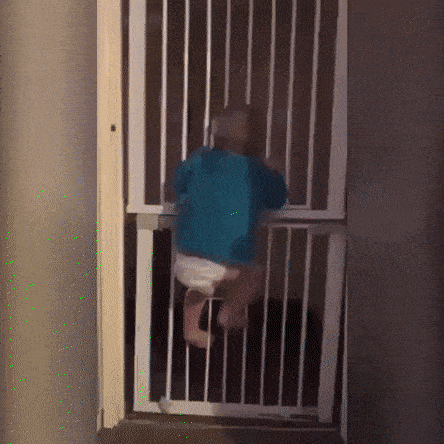video escape reddit prison sweatypalms GIF