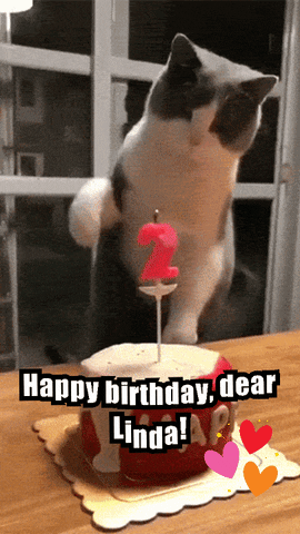 Happy Birthday GIF