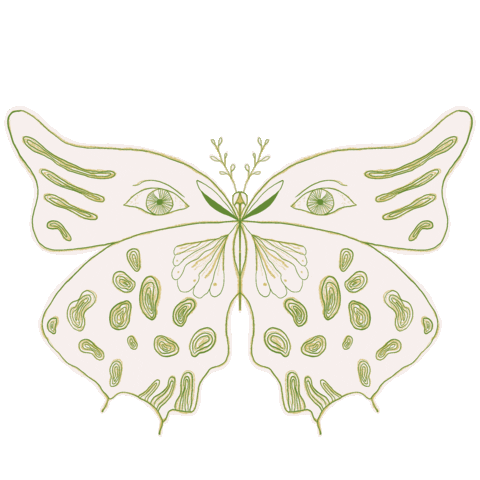 Eyes Sticker