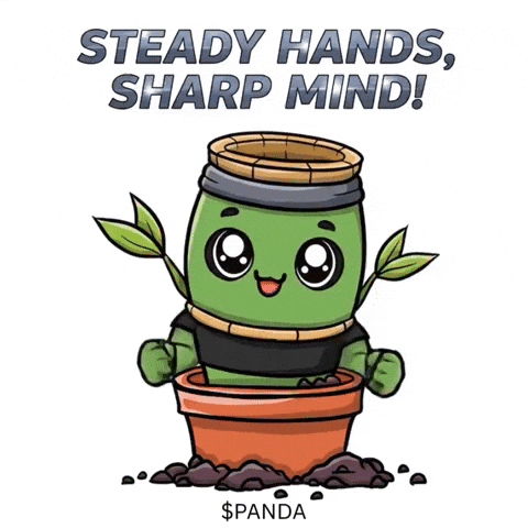 Martial Arts Motivation GIF by PandaMania