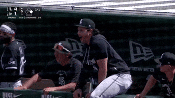 White Sox Sport GIF by MLB