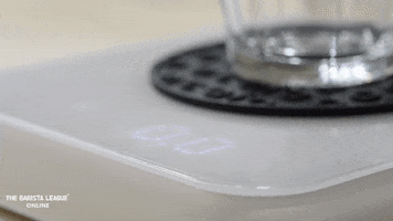Coffee Scale GIF by The Barista League