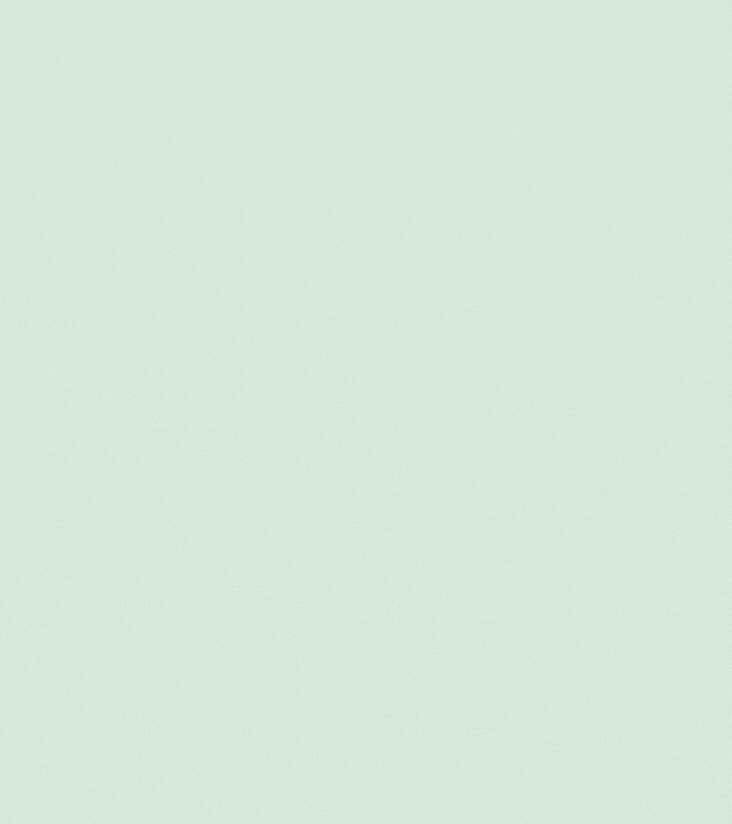 Bravura GIF