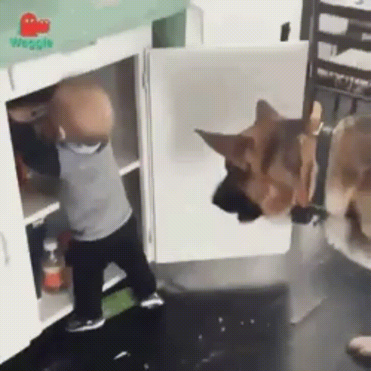 baby decides GIF