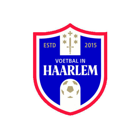 Voetbal in Haarlem Sticker