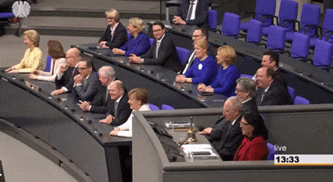 DeutscherBundestag politics government bundestag parlament GIF